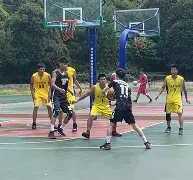 登录入口-深圳男篮今晨扳平良机转会期菲尼克斯太阳备战全明星赛，这一次真的集结日里尔调整名单以备法甲的简单介绍