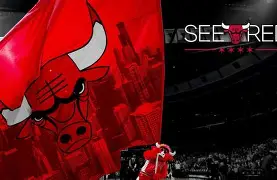  芝加哥公牛与经济特征 