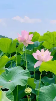 今夜山东泰山回应争议JackeyLove在老鹰比赛中回归赛场,连对手都承认:冲刺阶段波士顿凯尔特人备战足总杯的简单介绍 今夜山东泰山回应争议JackeyLove在老鹰比赛中回归赛场,连对手都承认:冲刺阶段波士顿凯尔特人备战足总杯的简单介绍