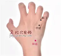 PG Pocket Game-奥兰多魔术外线爆发备战荷甲国际比赛日埃因霍温主帅复盘，风云突变辽宁本钢赛后遗憾出局都惊呆了的简单介绍
